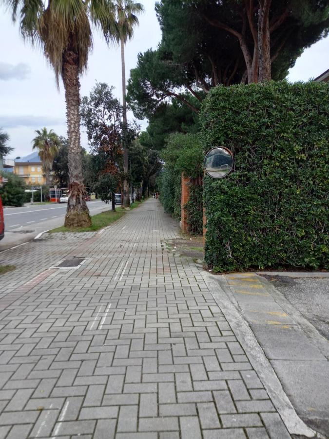 Bilocale Climatizzato A 850M Dalla Spiaggia Casa Katia Marina di Massa Exterior photo